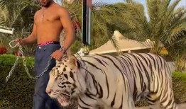 黑哥爆料最新动态视频,揭秘视频背后的惊人真相！